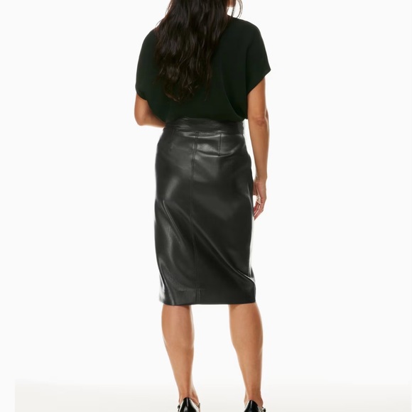 Aritzia Babaton Pegu Skirt - Picture 4 of 4